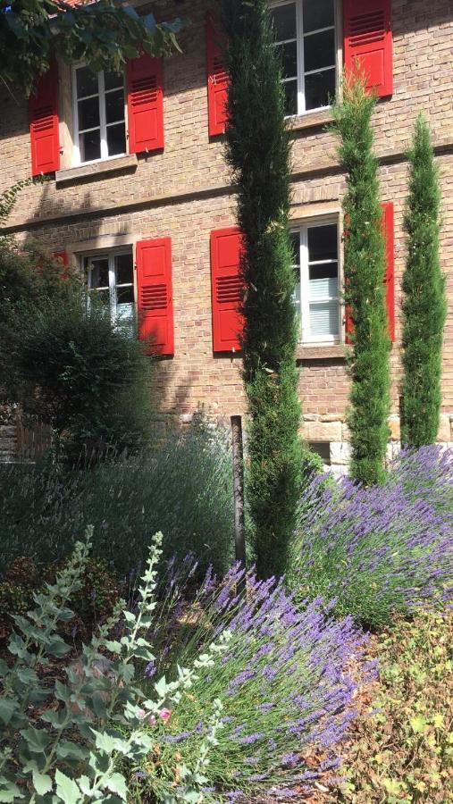 Wohlfuehlen Im Rheinhessischen Backsteinhaus Apartment Armsheim ภายนอก รูปภาพ
