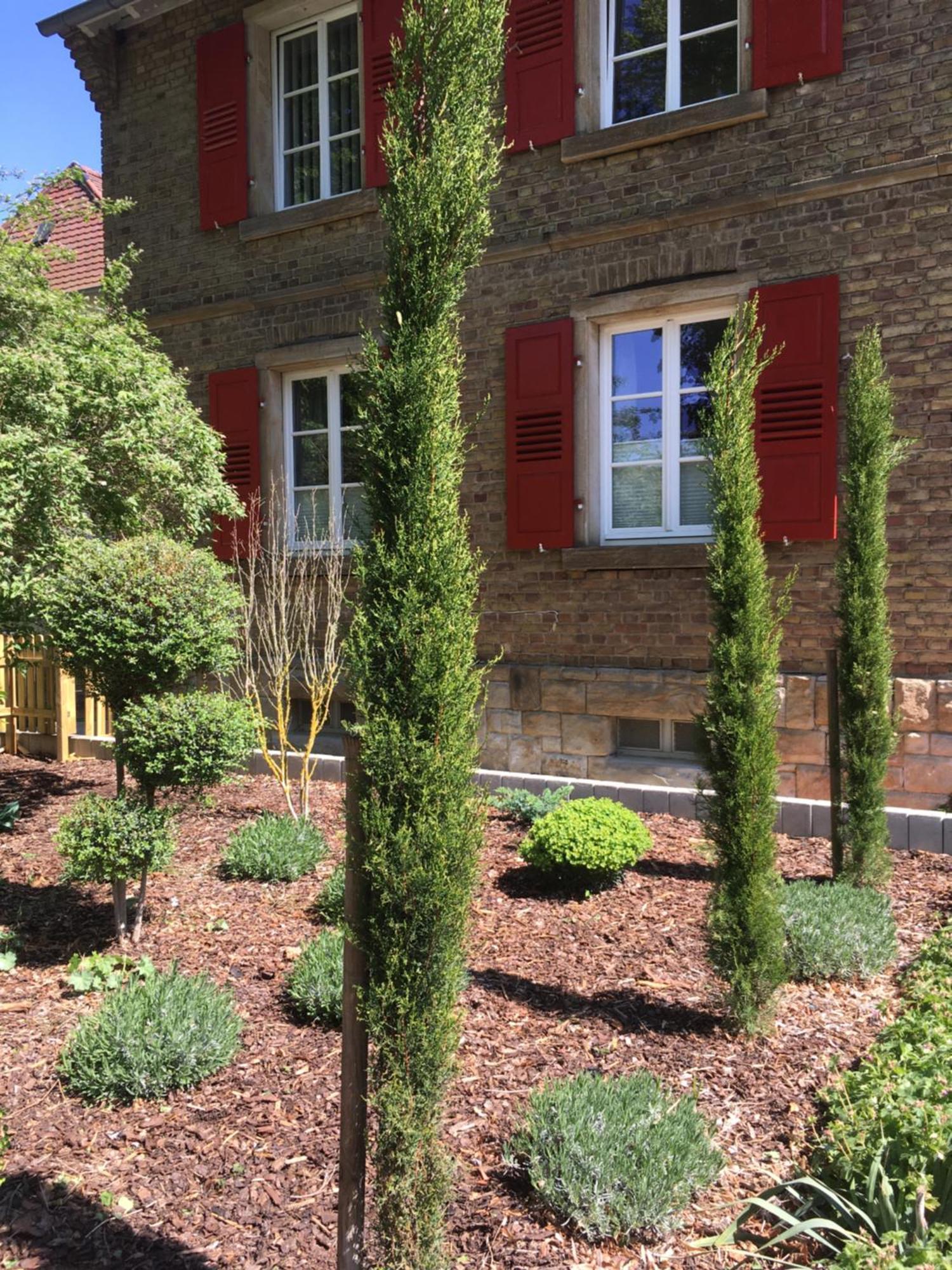Wohlfuehlen Im Rheinhessischen Backsteinhaus Apartment Armsheim ห้อง รูปภาพ